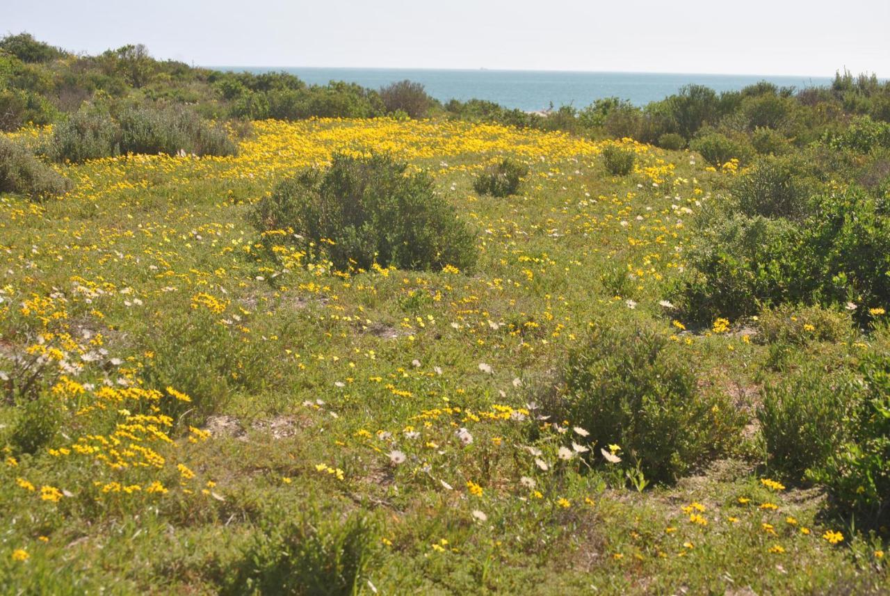 Stay At Bokkoms In Paternoster Self Catering Accommodation Exteriör bild