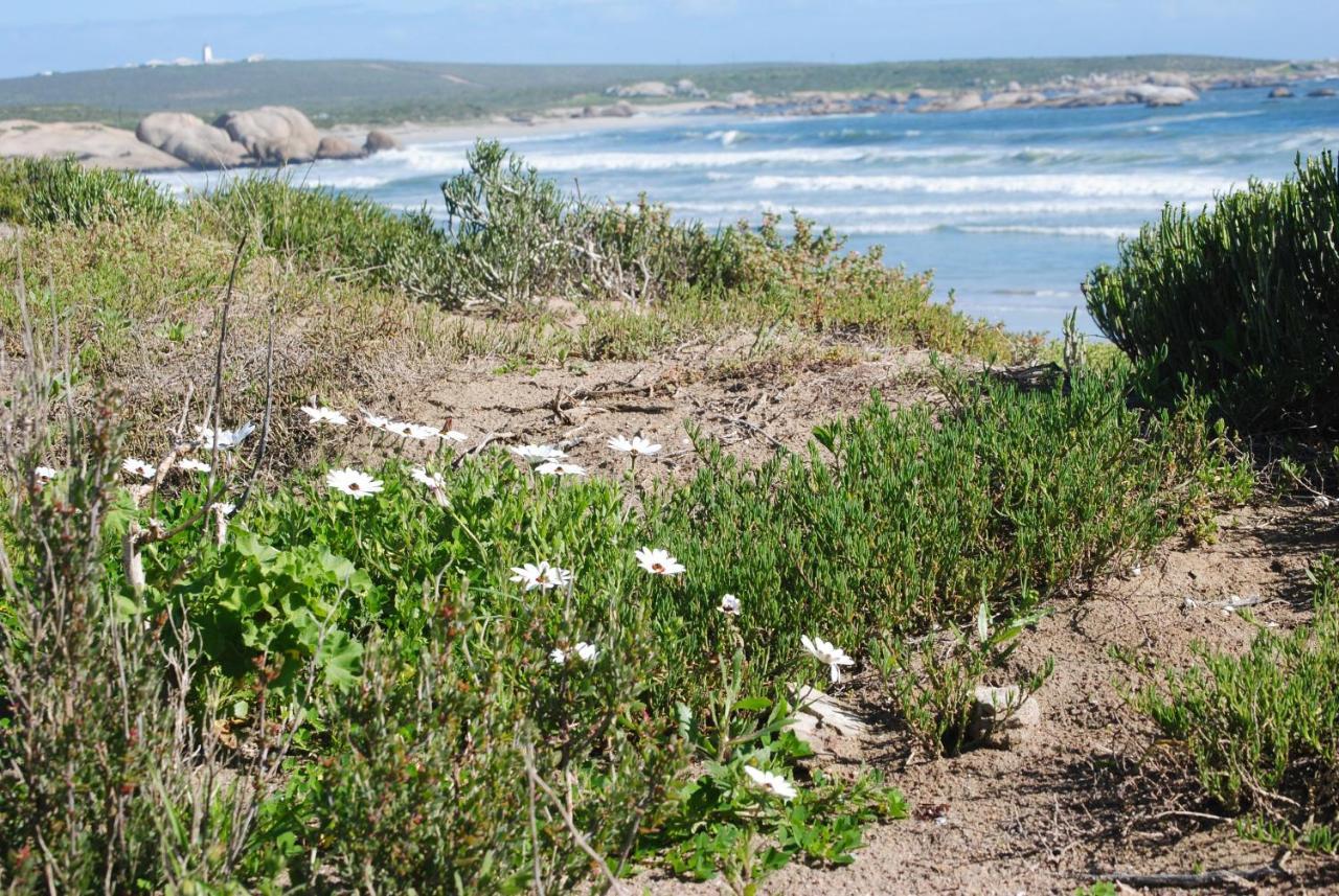 Stay At Bokkoms In Paternoster Self Catering Accommodation Exteriör bild