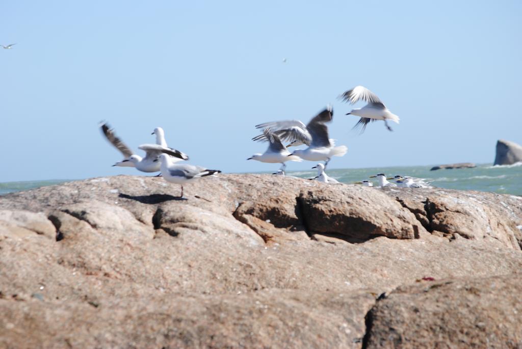 Stay At Bokkoms In Paternoster Self Catering Accommodation Exteriör bild