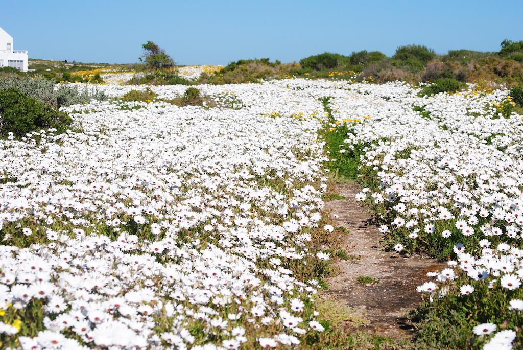 Stay At Bokkoms In Paternoster Self Catering Accommodation Exteriör bild